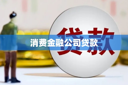 道里消费金融公司贷款