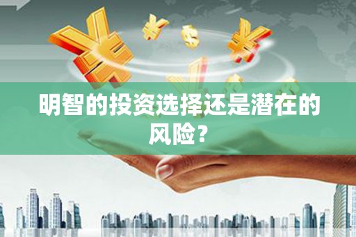 道里明智的投资选择还是潜在的风险？