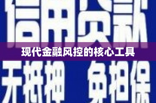 道里现代金融风控的核心工具