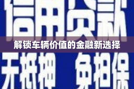 道里解锁车辆价值的金融新选择