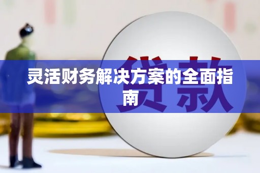 道里灵活财务解决方案的全面指南