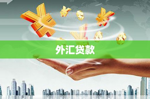 道里外汇贷款