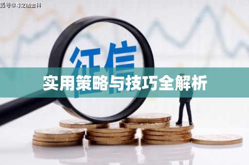 道里实用策略与技巧全解析