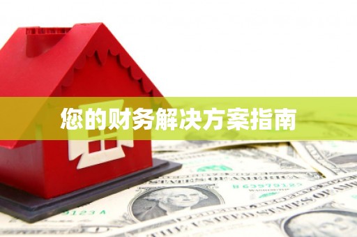 道里您的财务解决方案指南