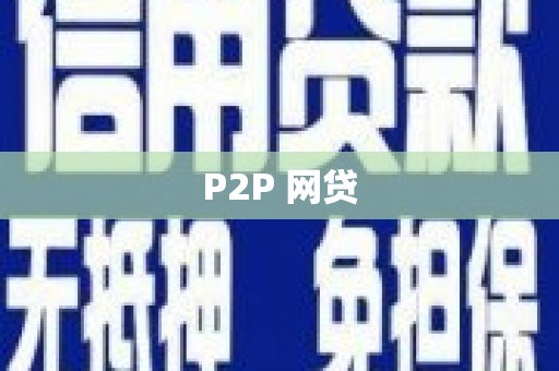 道里P2P 网贷