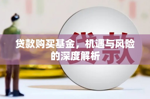 道里贷款购买基金，机遇与风险的深度解析