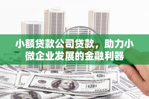 道里小额贷款公司贷款，助力小微企业发展的金融利器