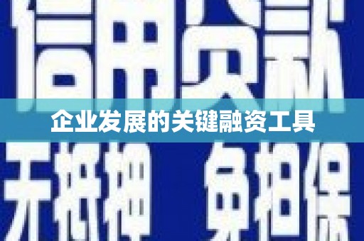 道里企业发展的关键融资工具