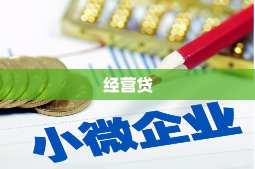 道里经营贷