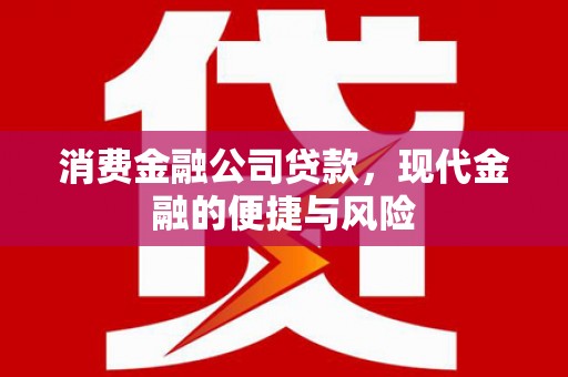 道里消费金融公司贷款，现代金融的便捷与风险