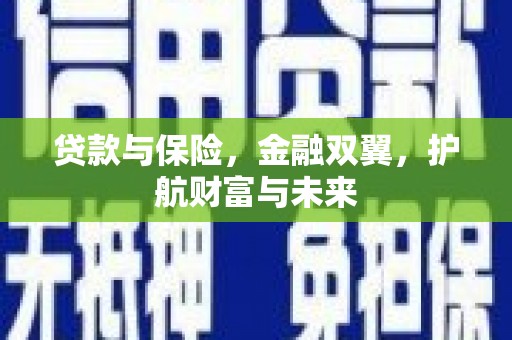 道里贷款与保险，金融双翼，护航财富与未来