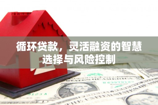 道里循环贷款，灵活融资的智慧选择与风险控制