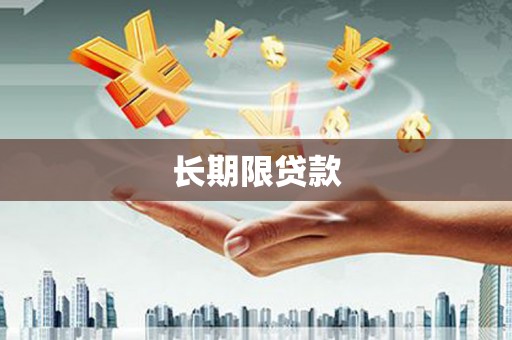 道里长期限贷款