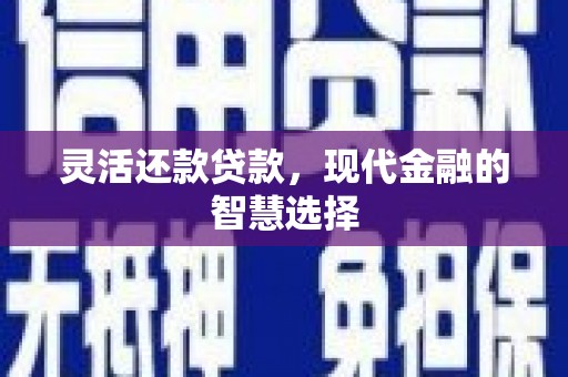 道里灵活还款贷款，现代金融的智慧选择