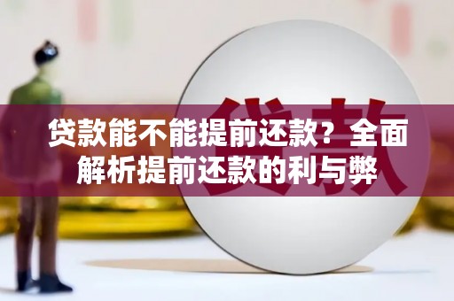 道里贷款能不能提前还款？全面解析提前还款的利与弊