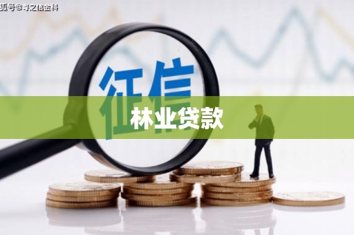 道里林业贷款