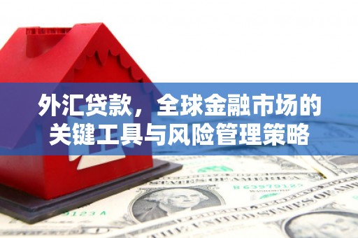 道里外汇贷款，全球金融市场的关键工具与风险管理策略