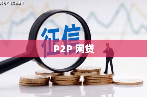 道里P2P 网贷