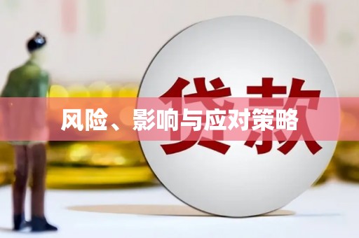 道里风险、影响与应对策略