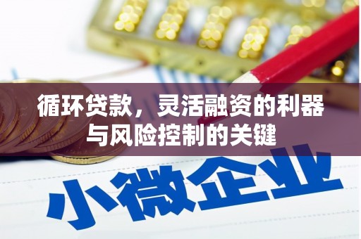 道里循环贷款，灵活融资的利器与风险控制的关键