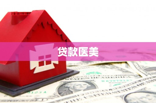 道里贷款医美