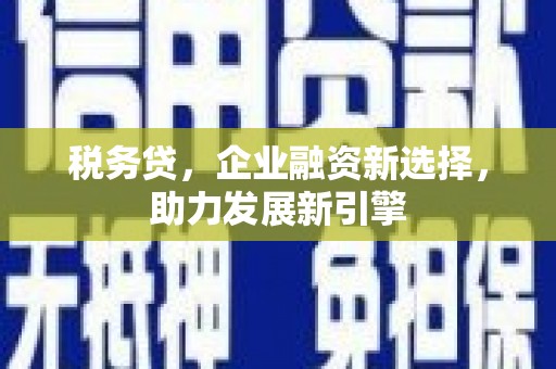 道里税务贷，企业融资新选择，助力发展新引擎