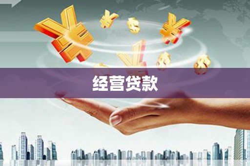 道里经营贷款