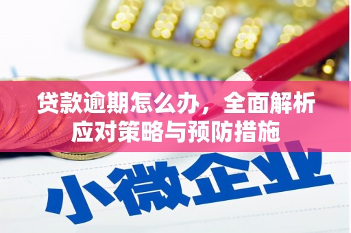 道里贷款逾期怎么办，全面解析应对策略与预防措施