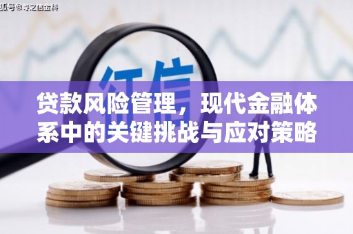 道里贷款风险管理，现代金融体系中的关键挑战与应对策略
