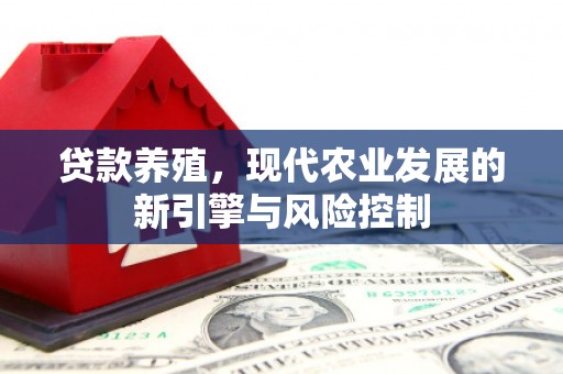 道里贷款养殖，现代农业发展的新引擎与风险控制