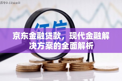 道里京东金融贷款，现代金融解决方案的全面解析