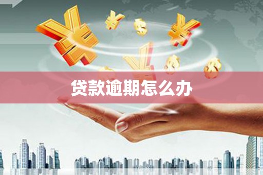 道里贷款逾期怎么办