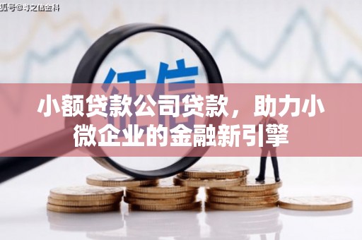 道里小额贷款公司贷款，助力小微企业的金融新引擎