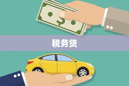 道里税务贷