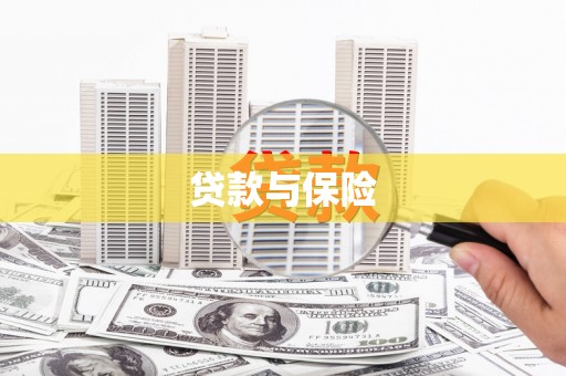 道里贷款与保险