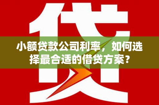 道里小额贷款公司利率，如何选择最合适的借贷方案？