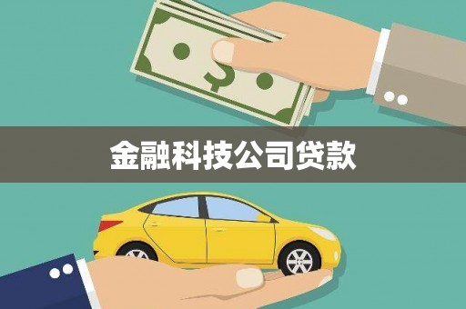 道里金融科技公司贷款