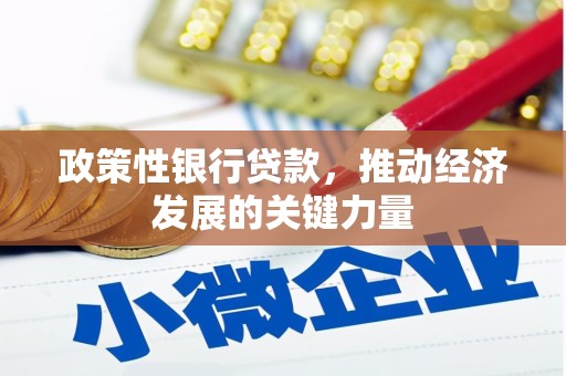 道里政策性银行贷款，推动经济发展的关键力量