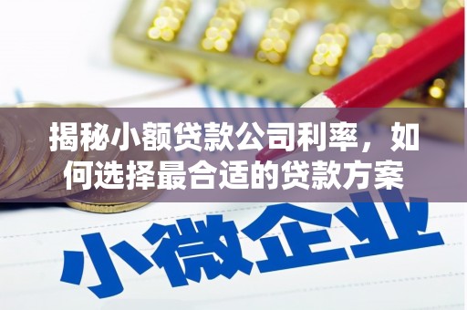 道里揭秘小额贷款公司利率，如何选择最合适的贷款方案