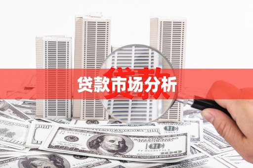 道里贷款市场分析