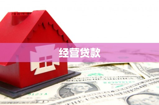 道里经营贷款