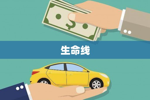 道里生命线