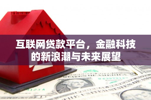道里互联网贷款平台，金融科技的新浪潮与未来展望