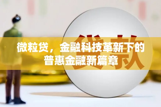道里微粒贷，金融科技革新下的普惠金融新篇章