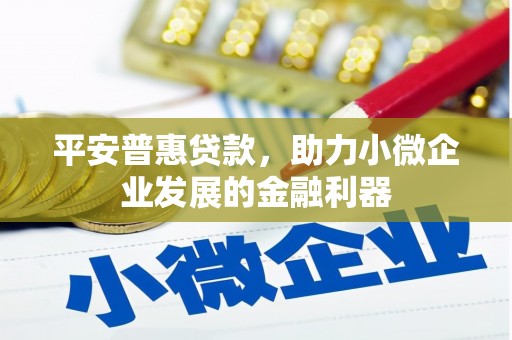 道里平安普惠贷款，助力小微企业发展的金融利器
