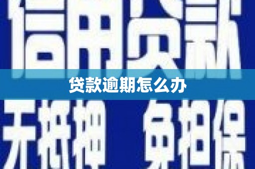 道里贷款逾期怎么办