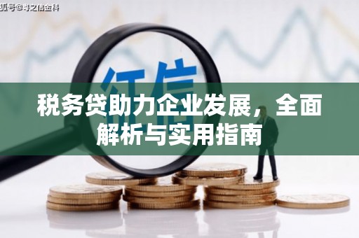 道里税务贷助力企业发展，全面解析与实用指南