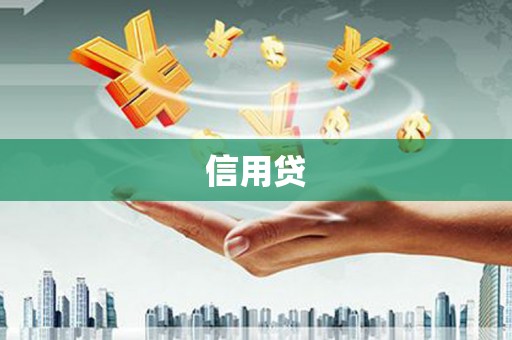 道里信用贷