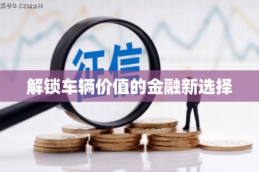 道里解锁车辆价值的金融新选择
