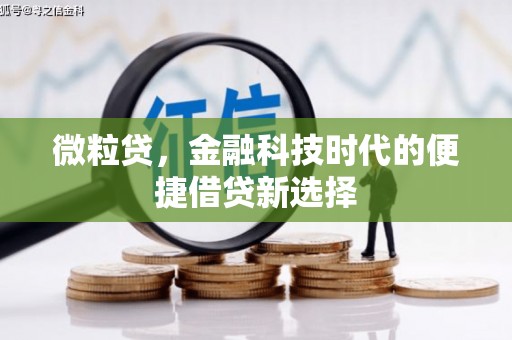 道里微粒贷，金融科技时代的便捷借贷新选择